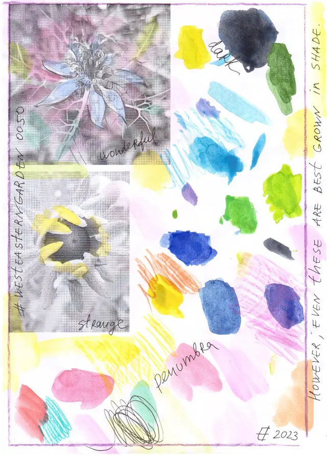 West-Eastern Garden #0050