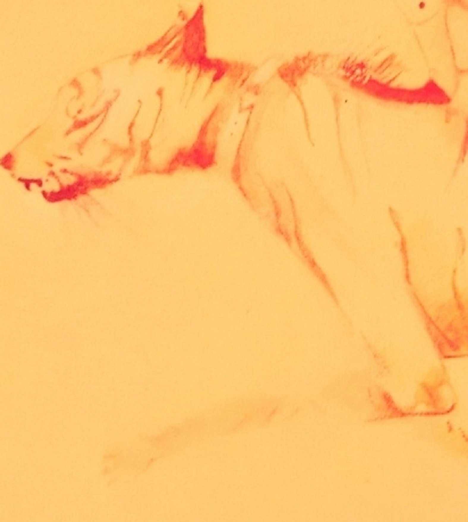 She who rides a tiger can never get off