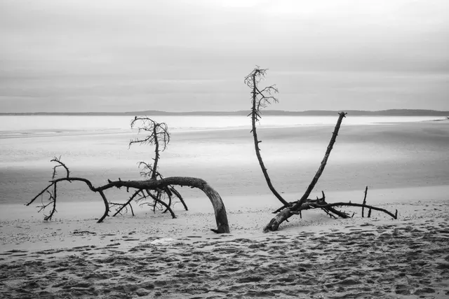 Nature(s) Maritime(s) 3007781