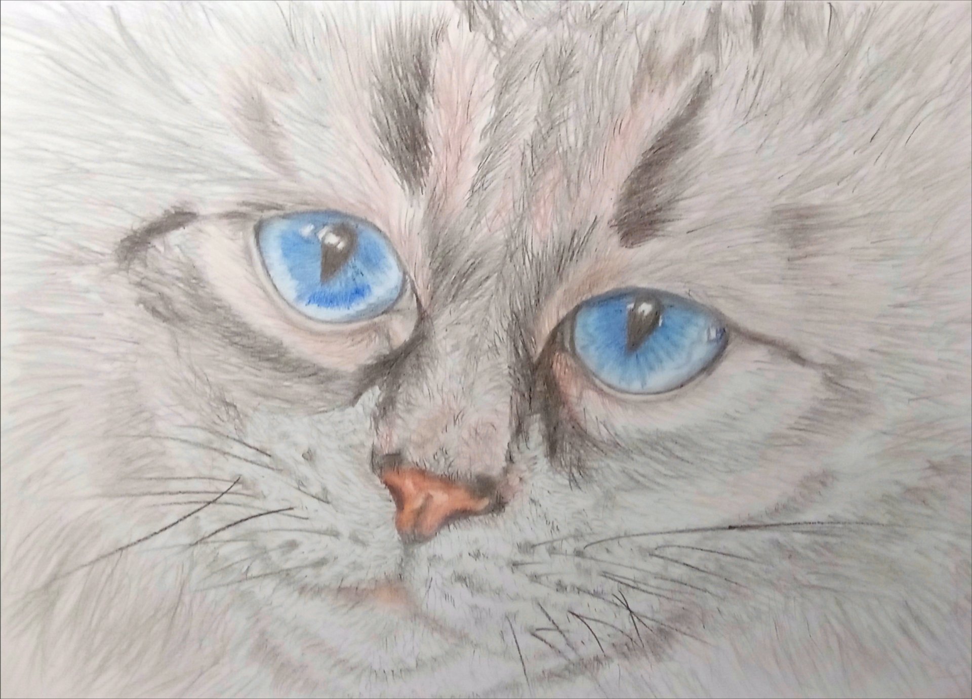 Котофей