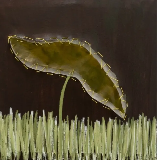 Seed
