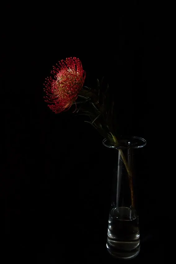 Nutan Flower