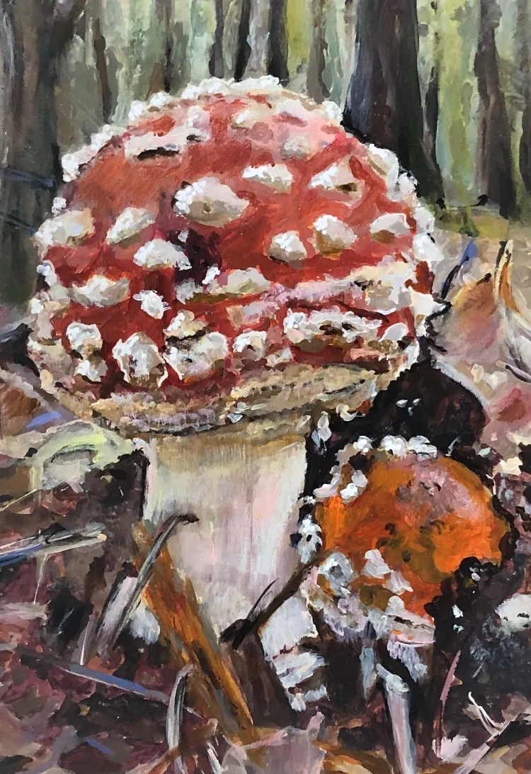 Fly Amanita — 6