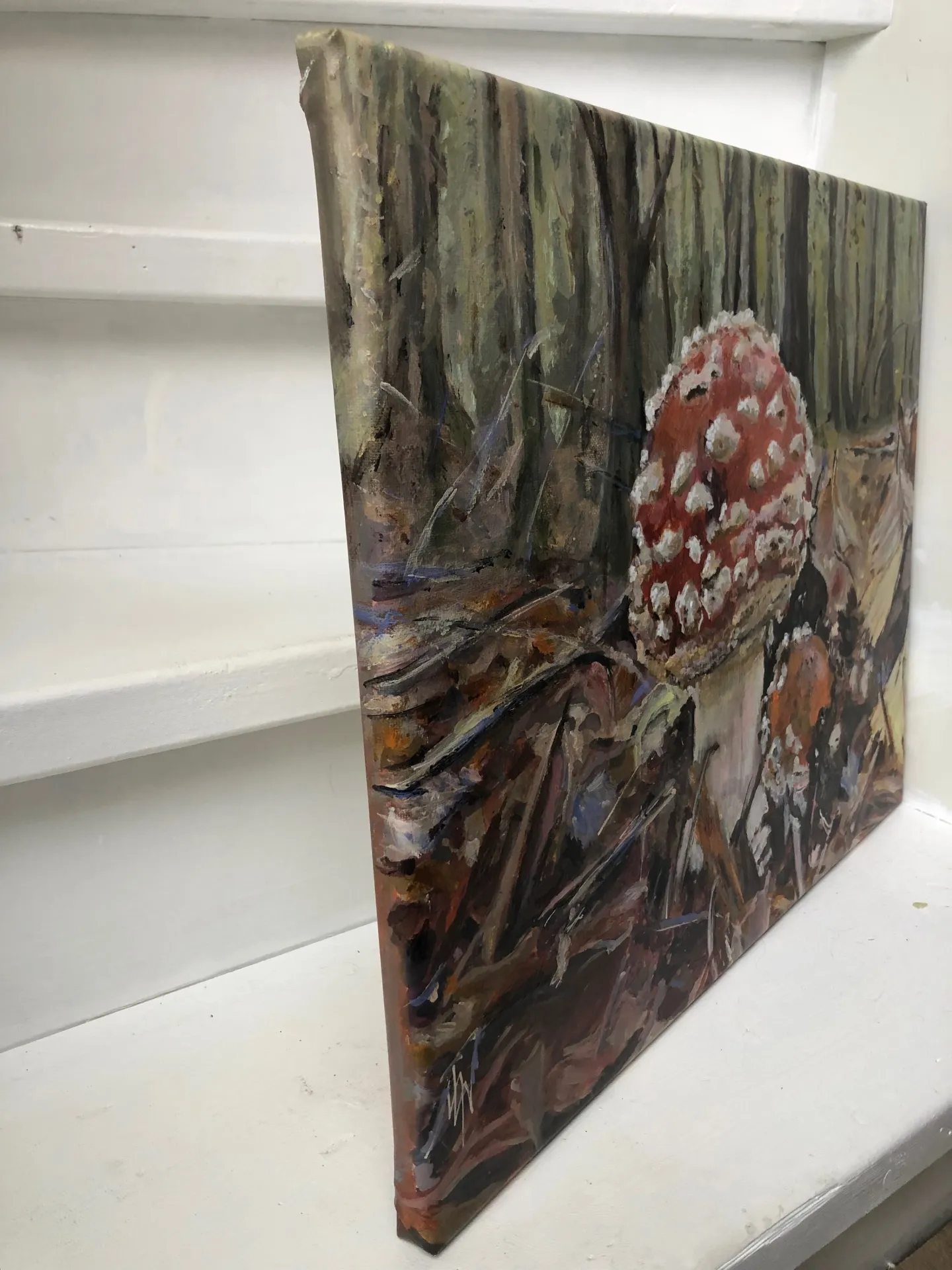 Fly Amanita — 4