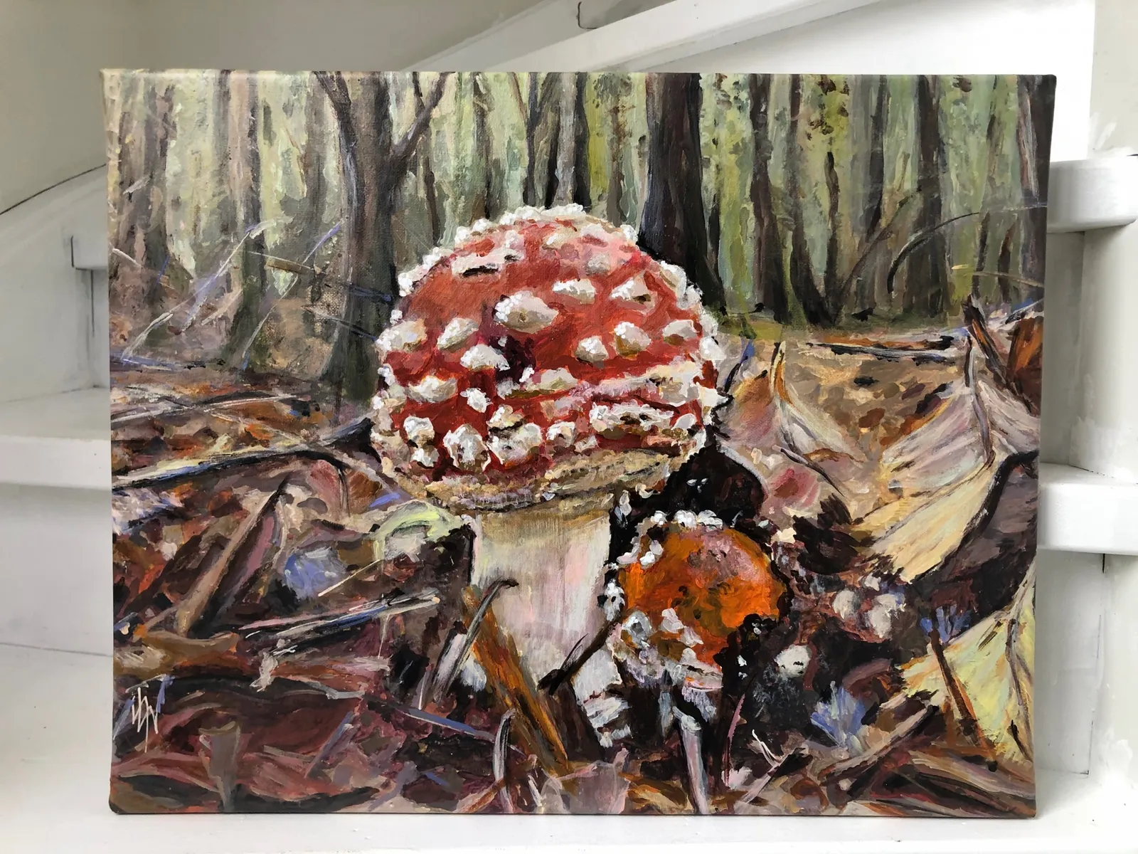 Fly Amanita — 5