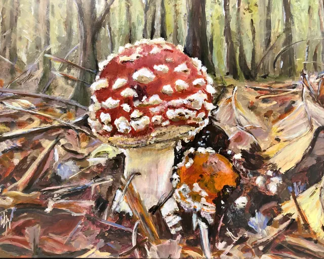 Fly Amanita