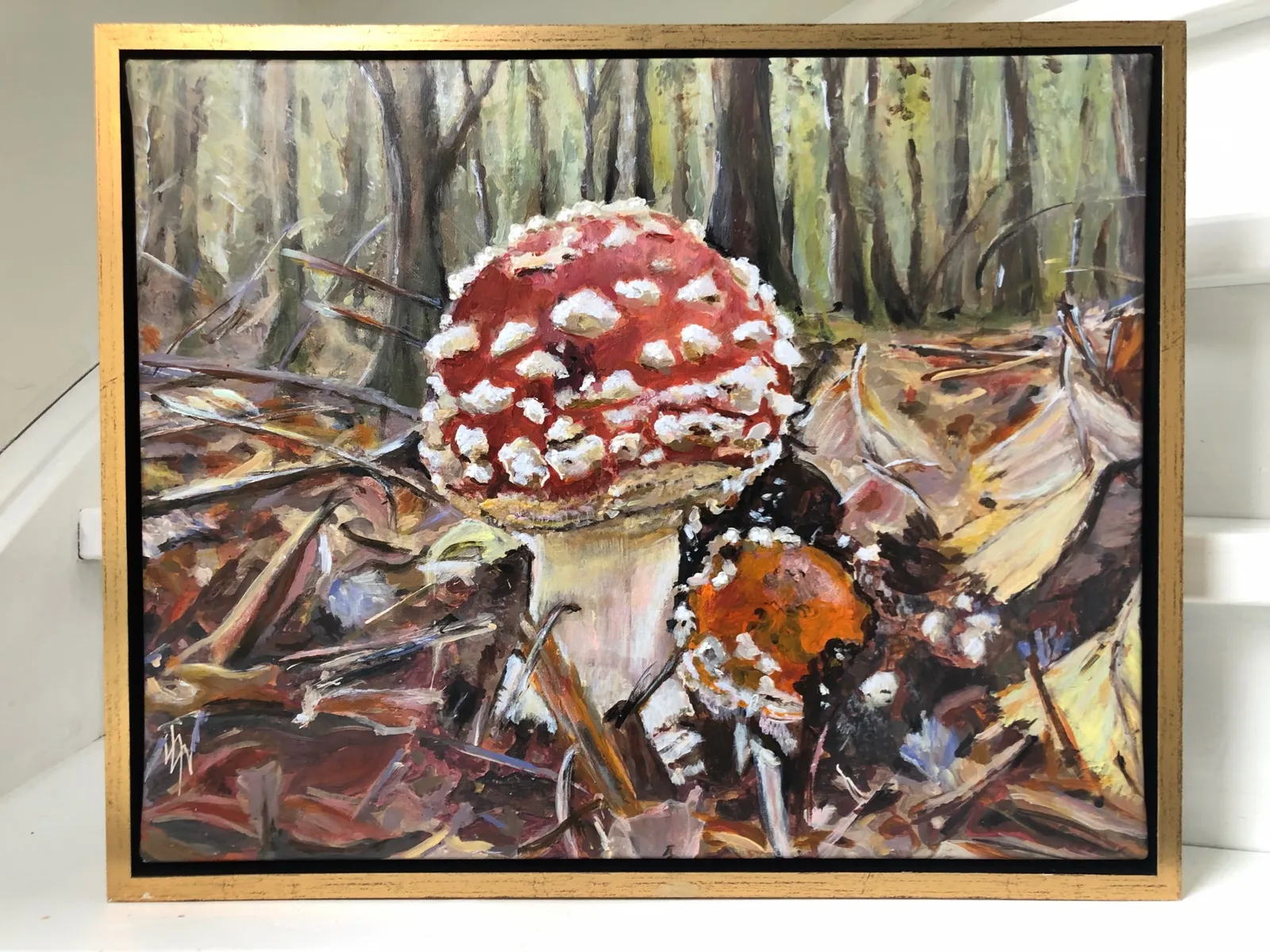 Fly Amanita — 2