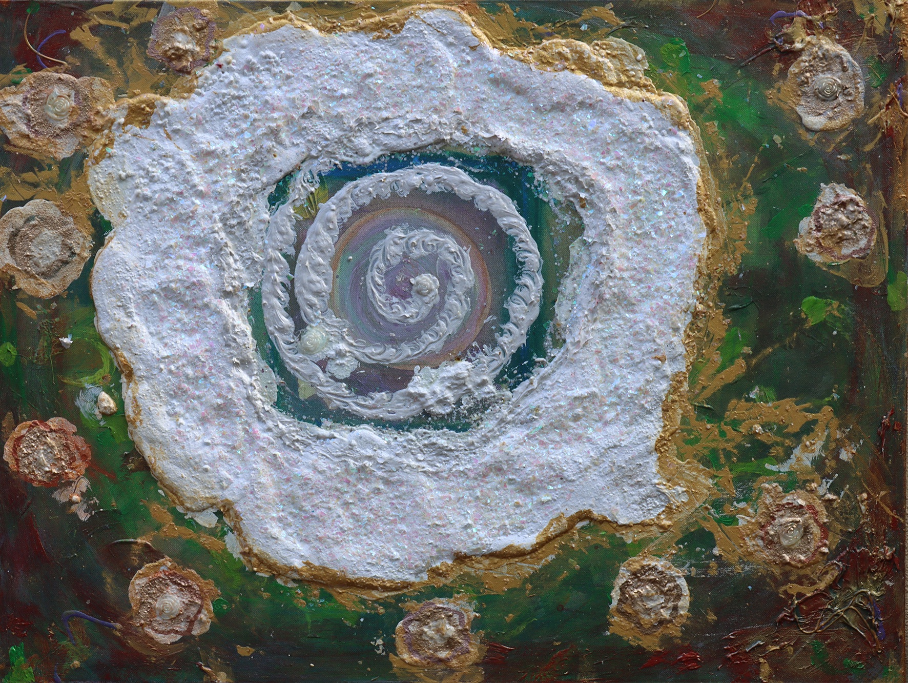 White Rose of Translucent Radiance 1