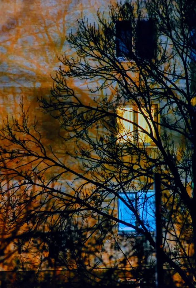 Twilight