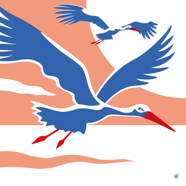 Lucky storks