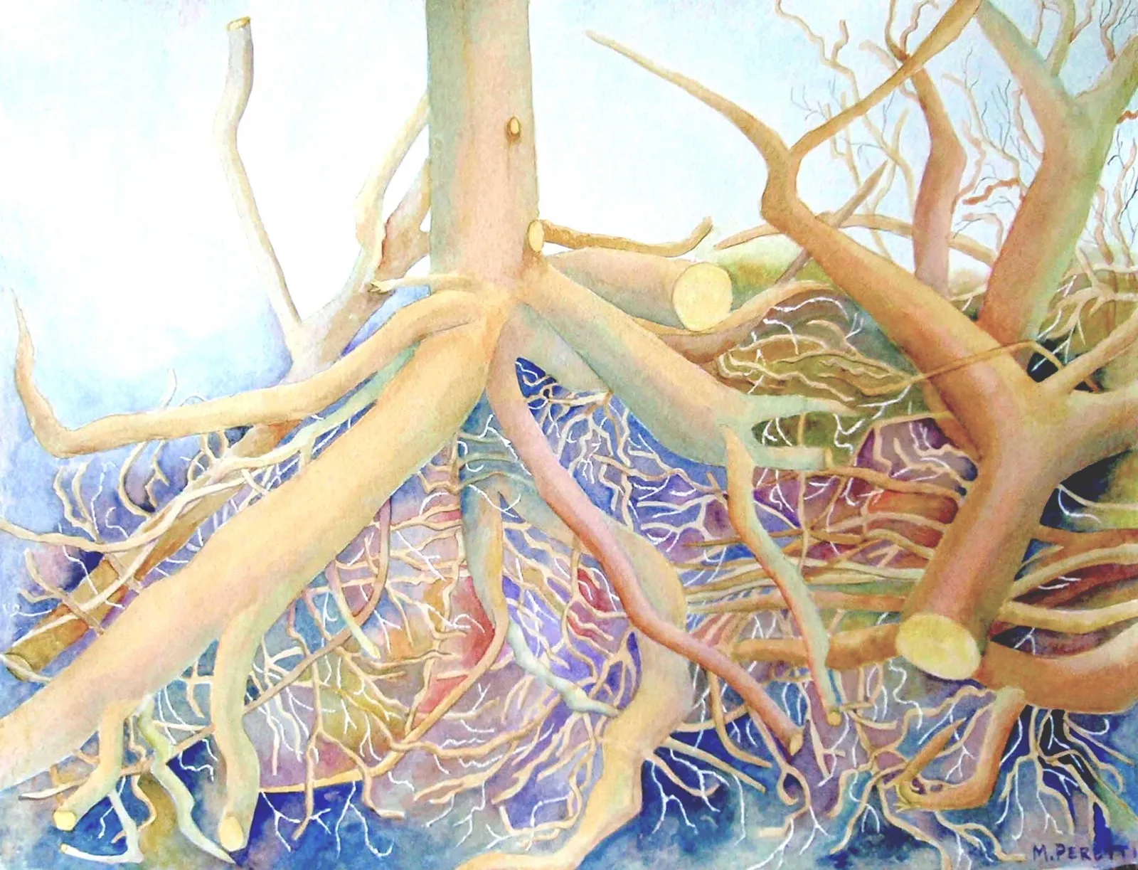 Tangled · 2011 · 55.9×43.2 cm