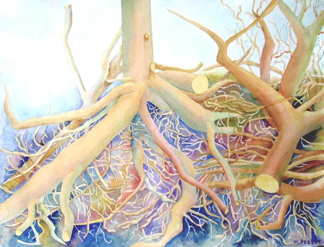 Tangled