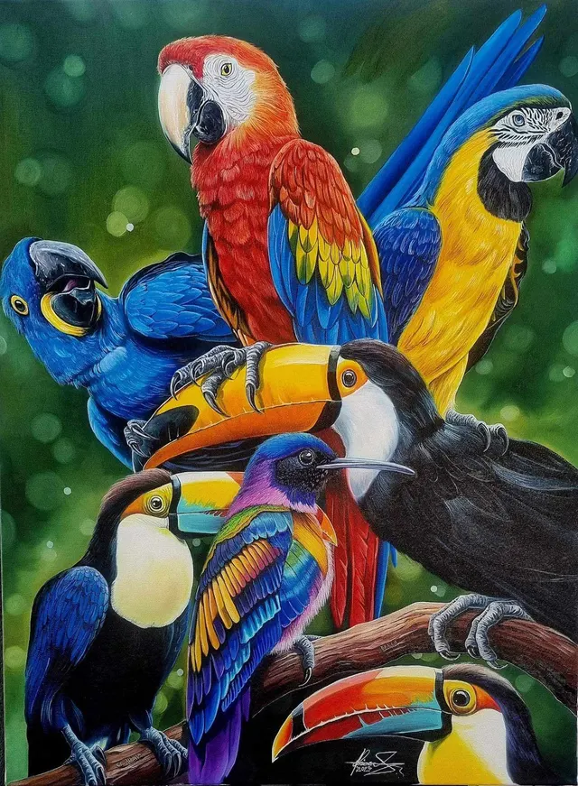 Flying Wonders