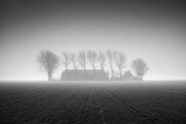 Farm in the Mist, single edition 1/1