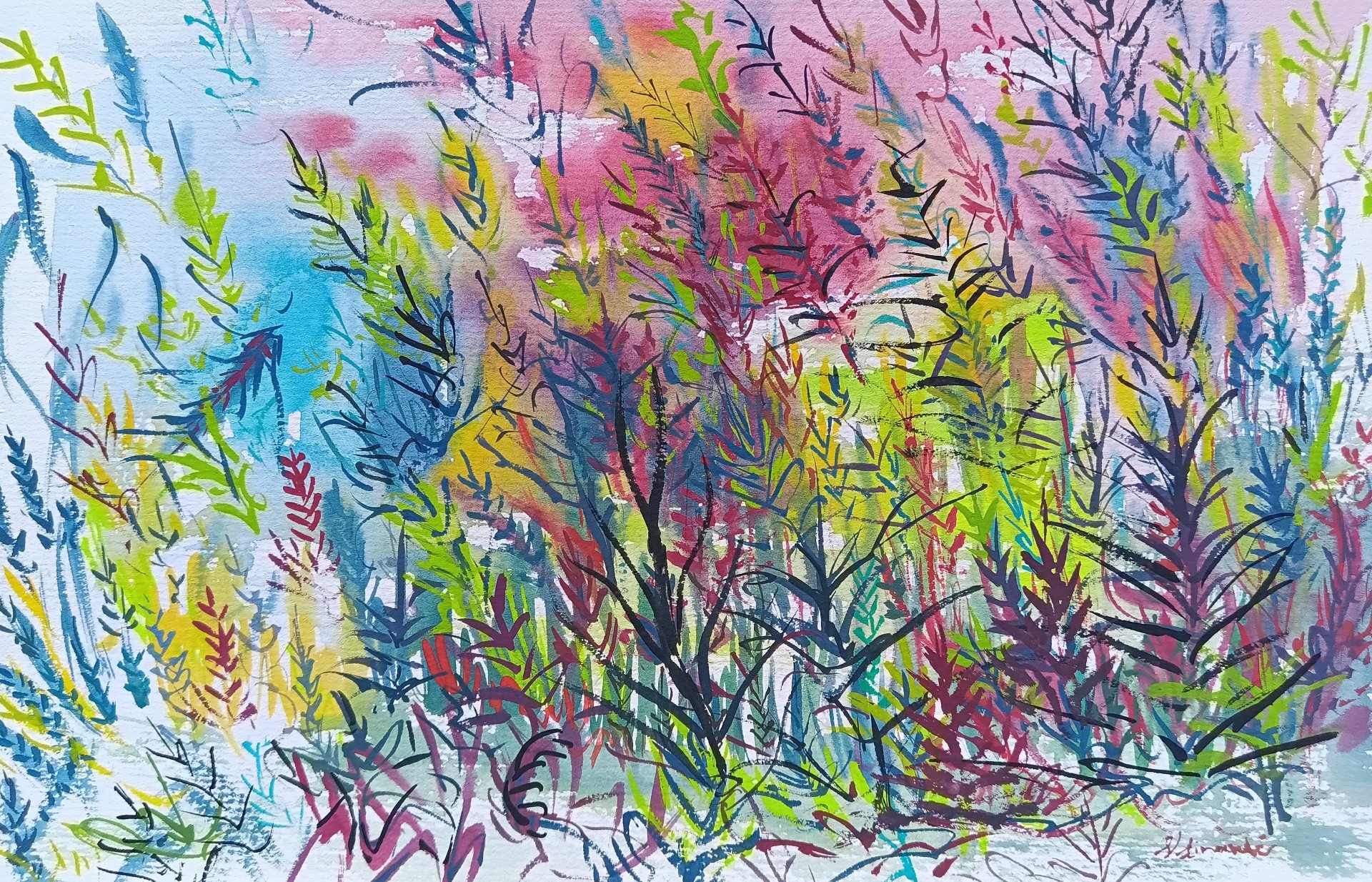 Landscape 138