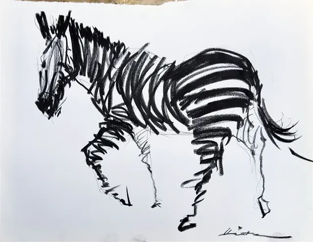 Zebra's - 5 pieces
