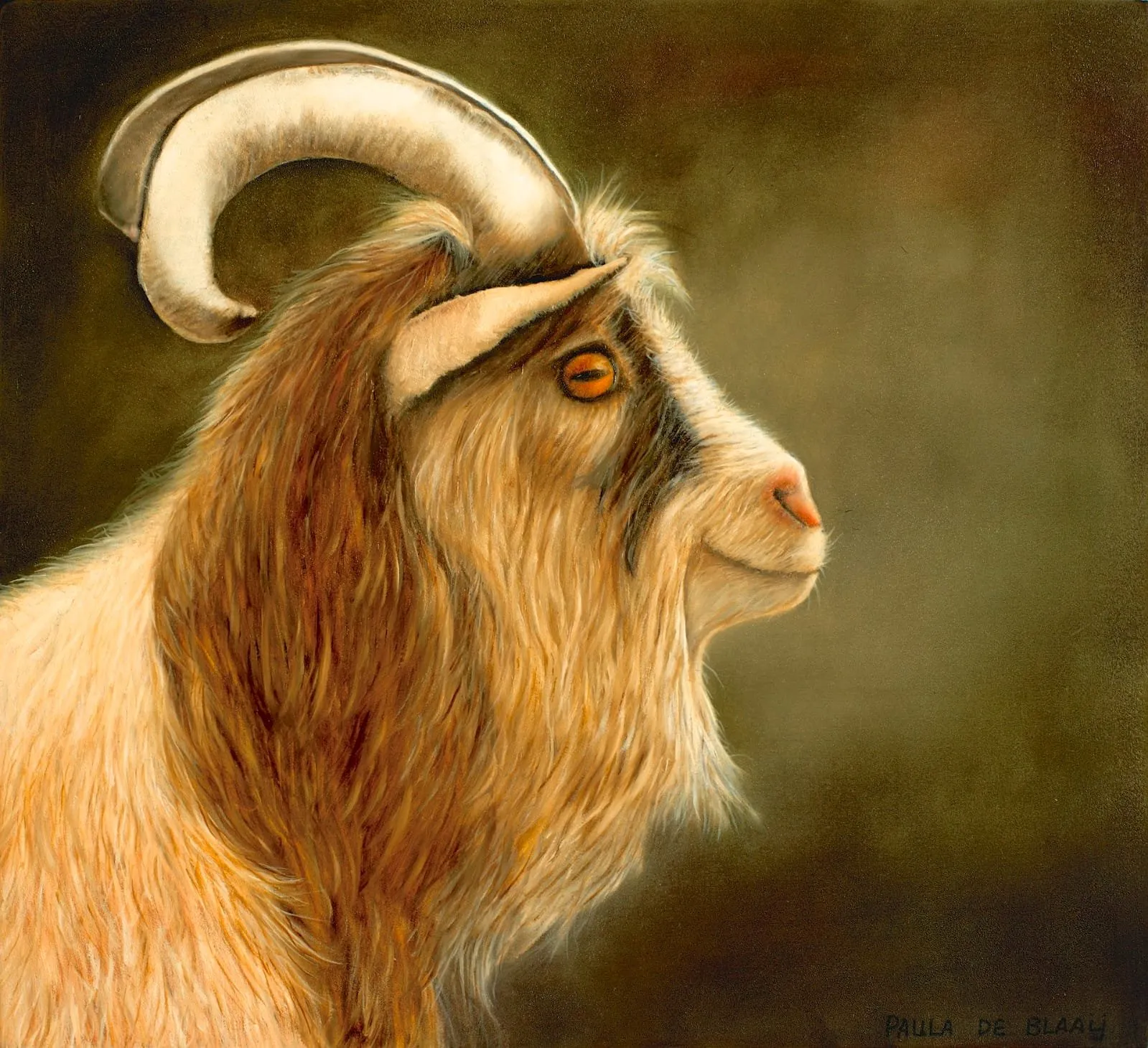 Billy goat · 2016 · 32.5×35.5 cm