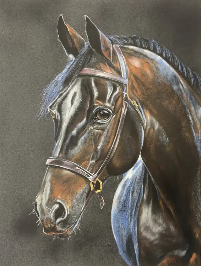 Horse portrait