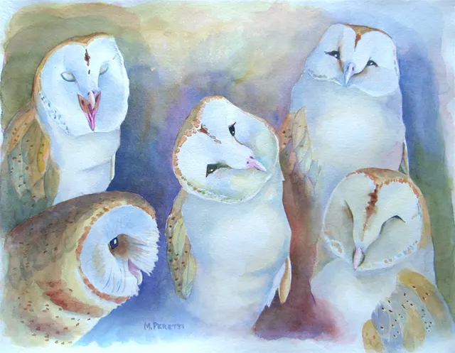 His Private Life (Barn Owl)