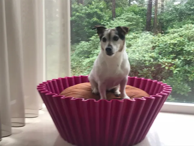 Cupcake