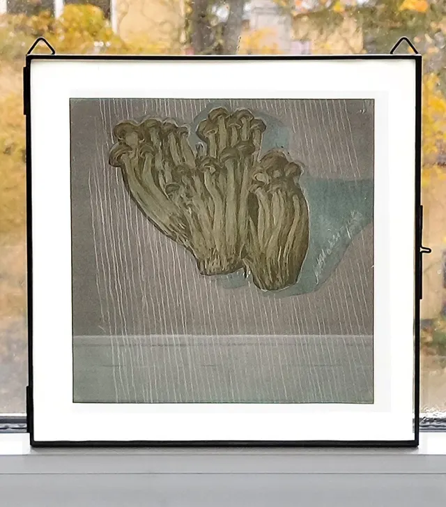 Mushrooms 2