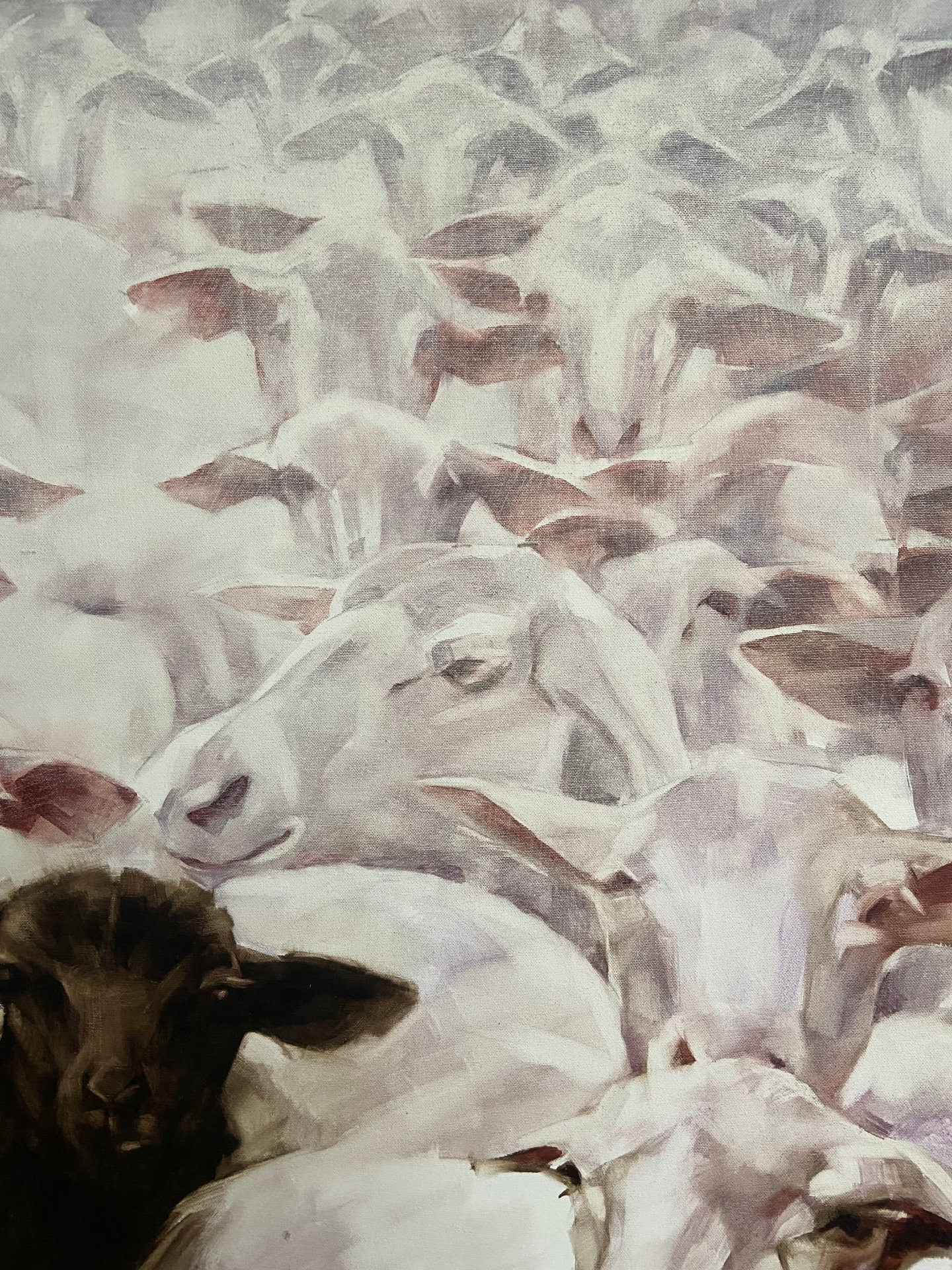 Black Sheep.