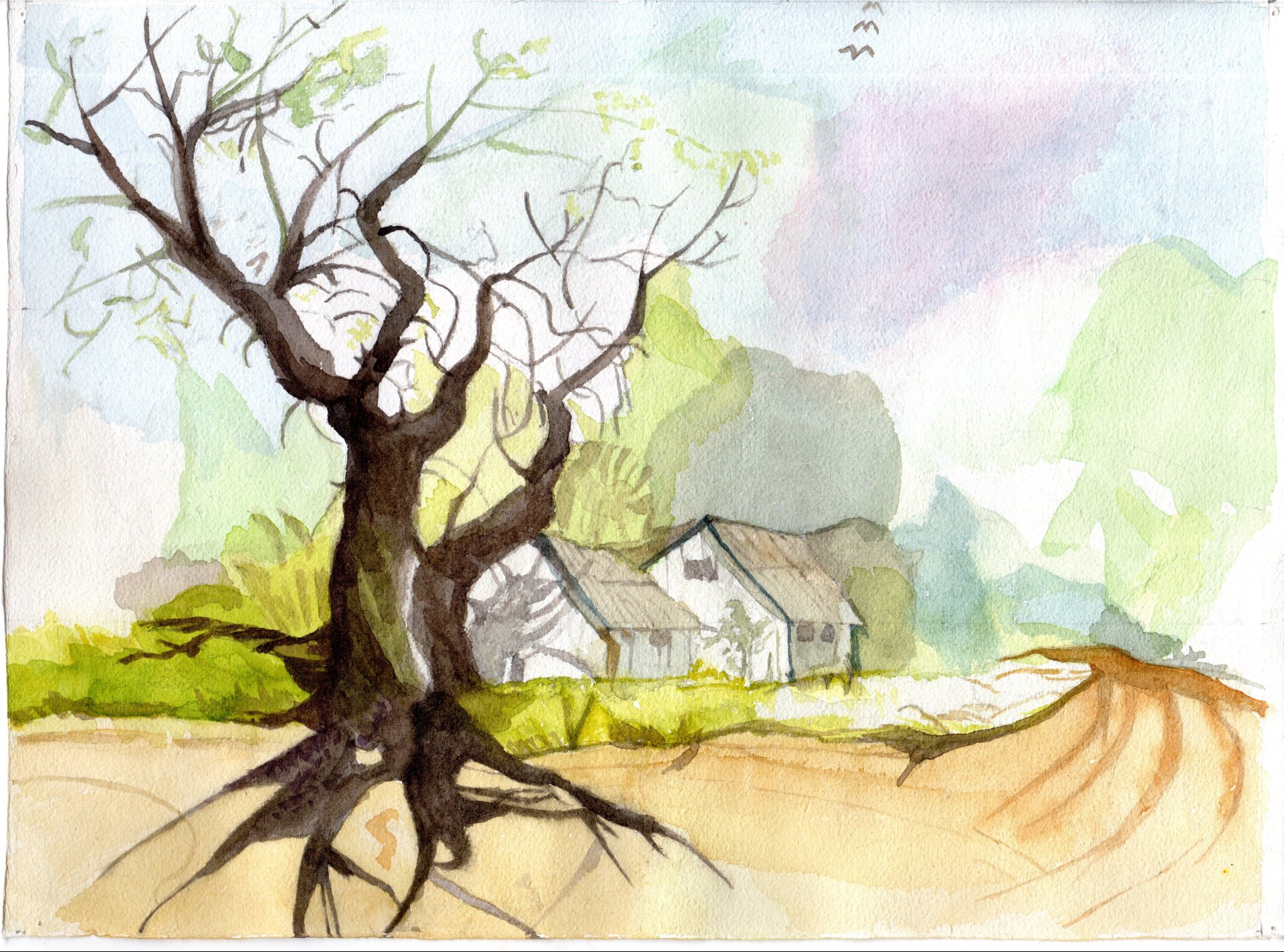 LANDSCAPE