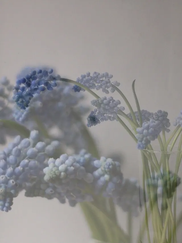 flora