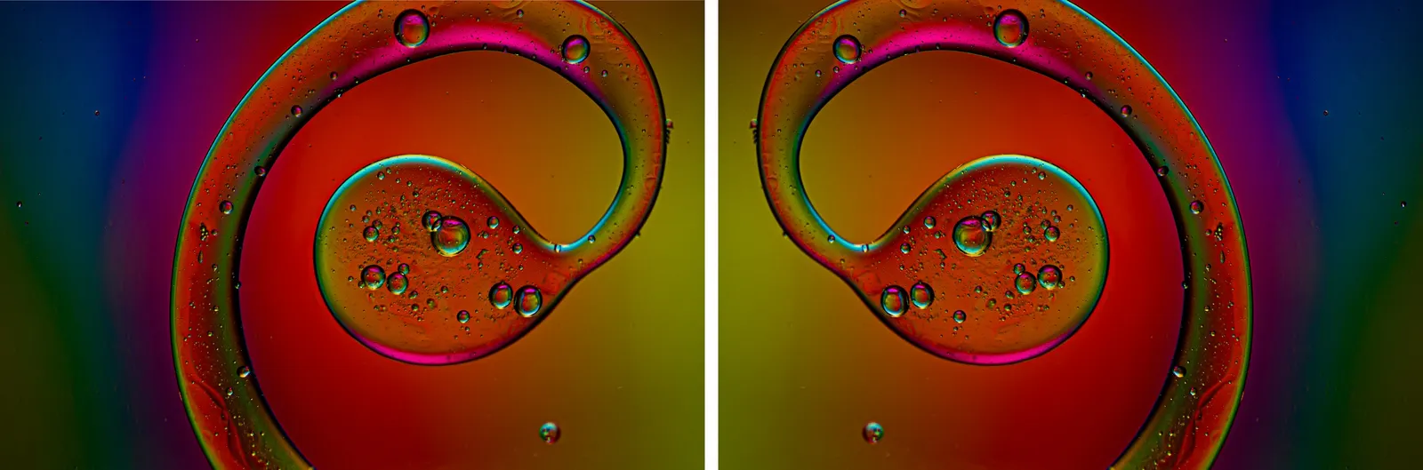 Colors of the rainbow (2 stuks 130x86) · 2021 · 270×86 cm