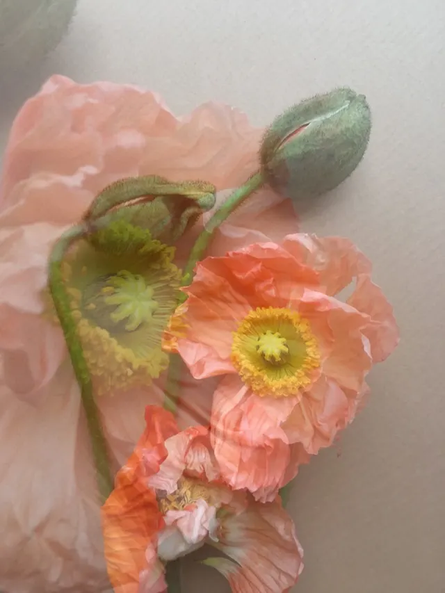 flora