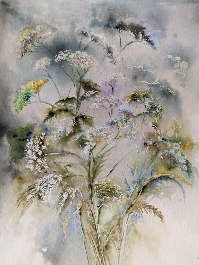 Cow parsley