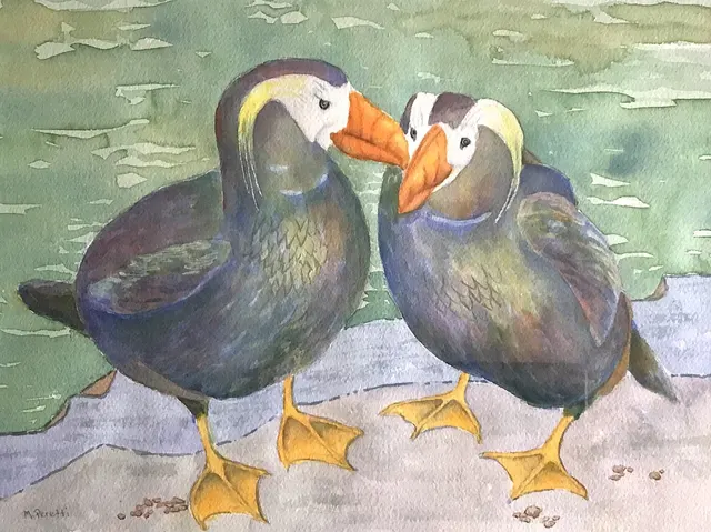 My Tufted Puffins