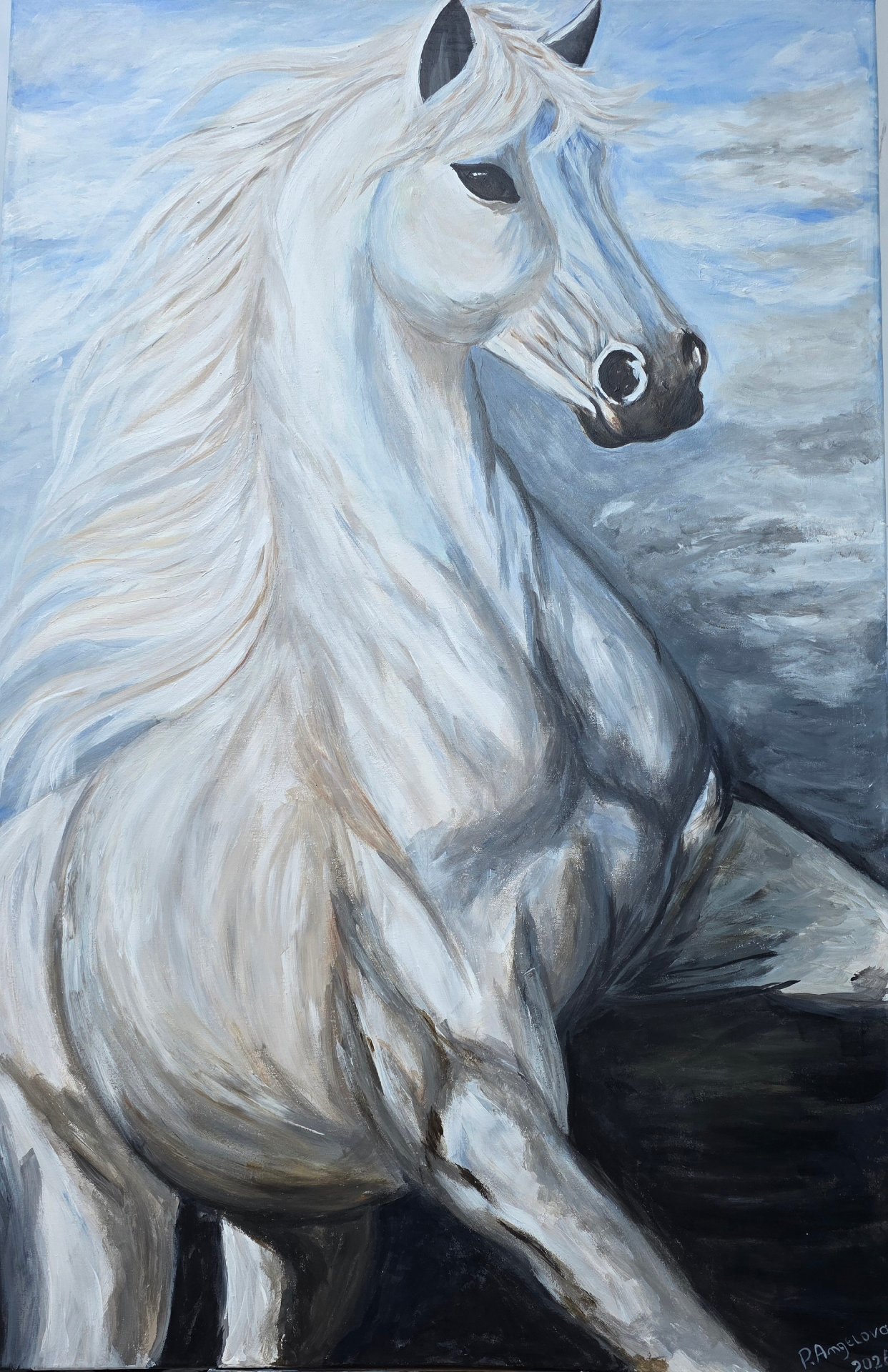 Spirit of Freedom