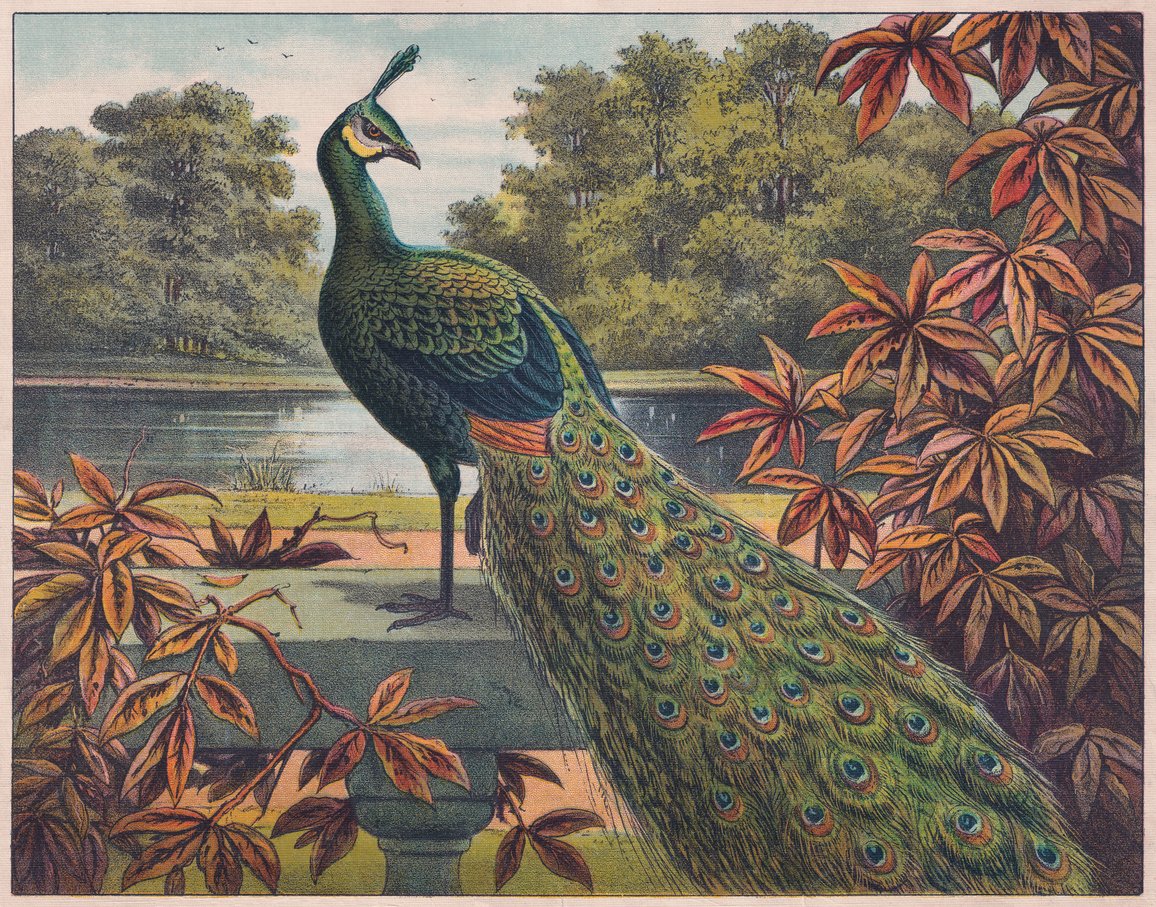 Name of artwork