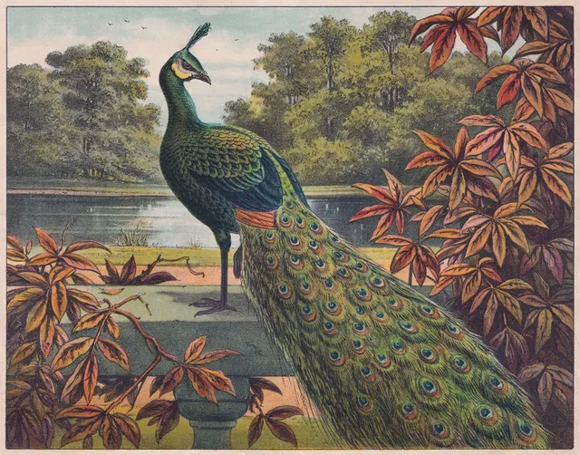 Name of artwork