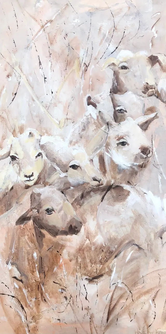 Schapen