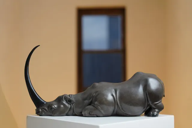 The story of the rhinoceros