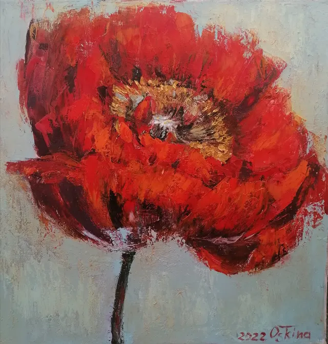 Red poppy
