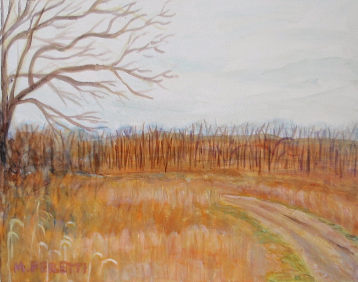 Late Fields