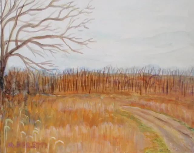 Late Fields
