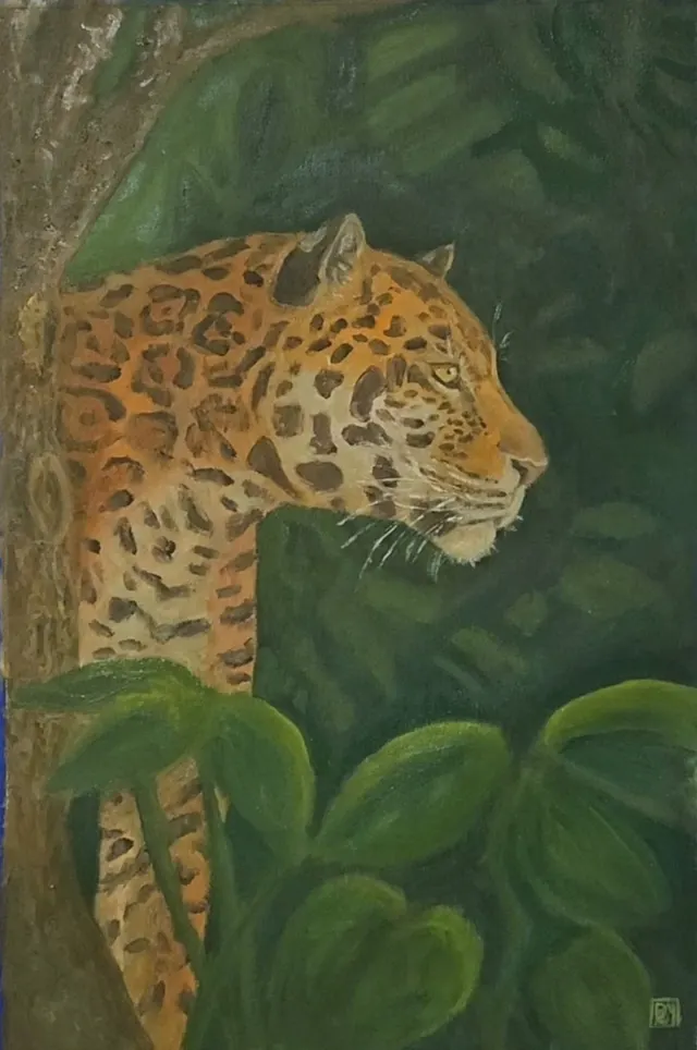 Onça pintada