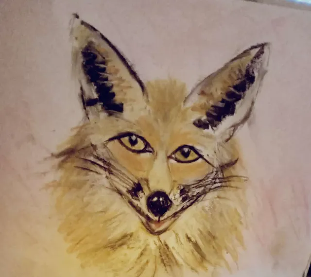 dierenpracht