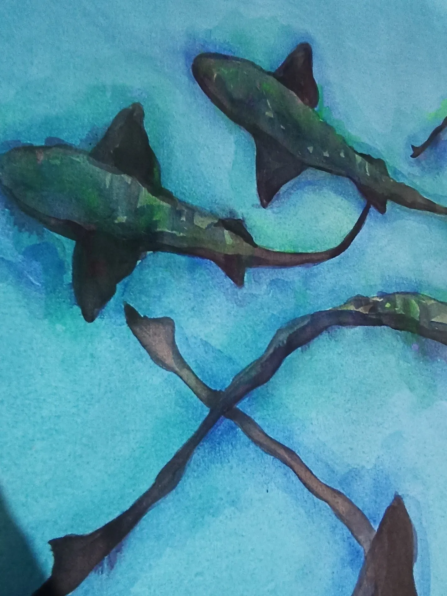 Maldives Love 8 — Katwrina Golban, paper — 6
