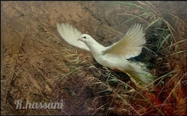 White wings