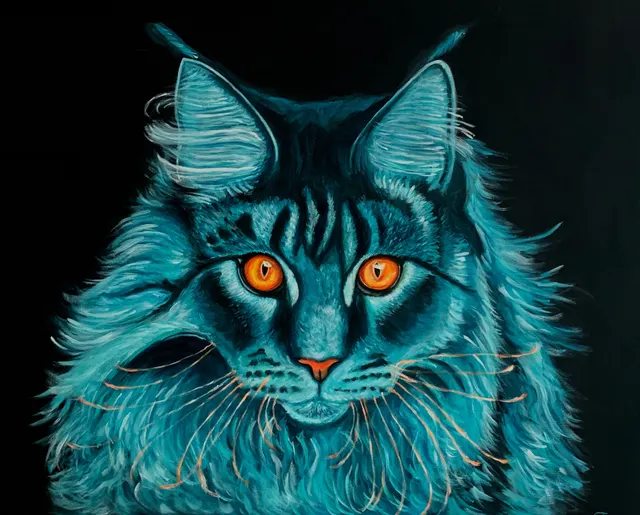 Maine coon cat