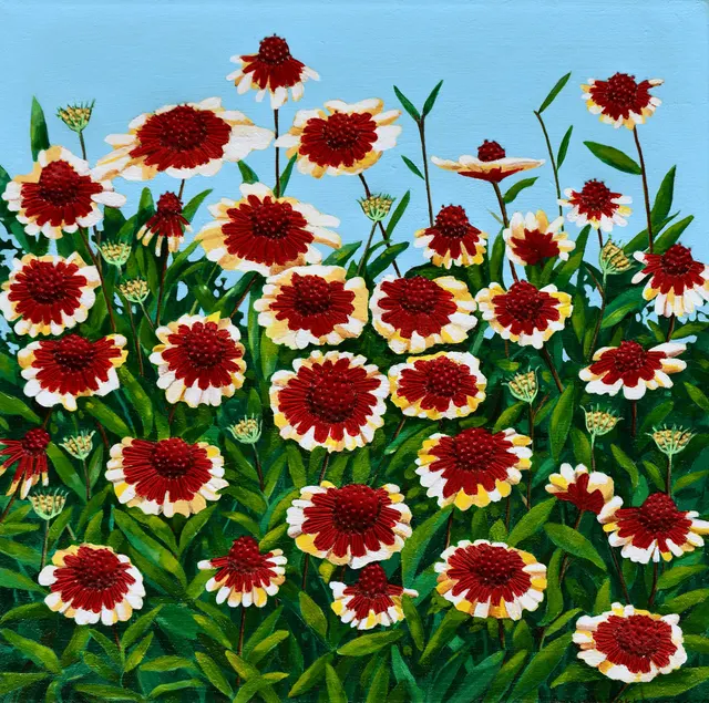 Kokardebloem