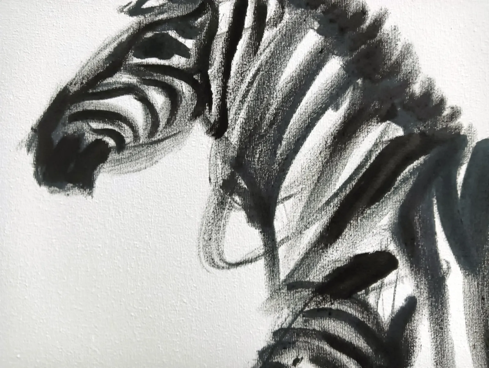 zEbrA — 4