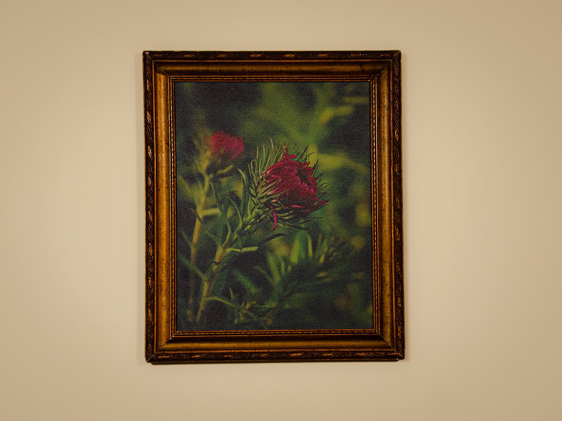 Lete autumn aster