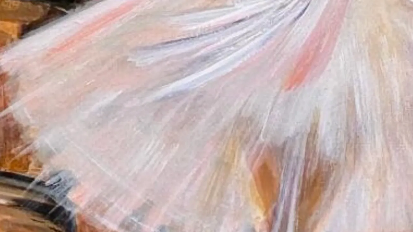 Allonge (Sesuna) — 5