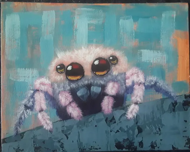Friendly Spider